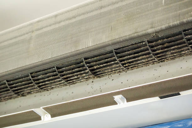 Best Air Duct Cleaning Near Me  in Stafford Courthouse, VA